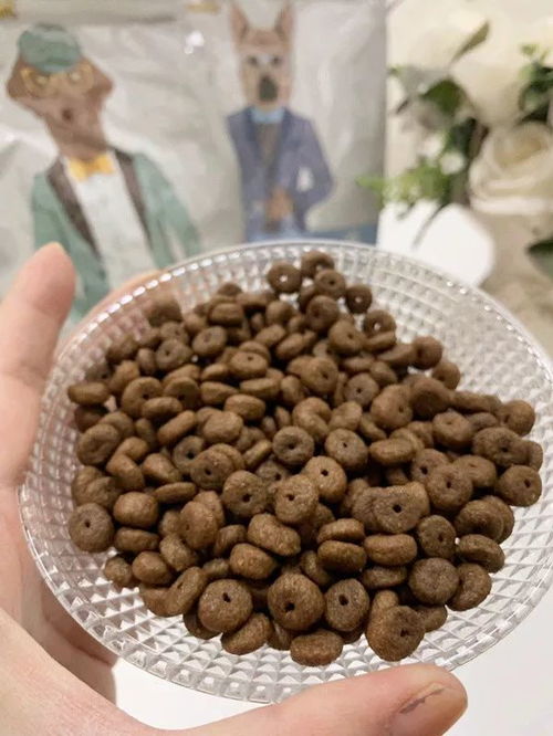 狗狗身上有異味 其實(shí)是這幾個部位搞的鬼