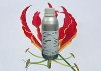 供應中藥油OEM/中草藥油/中藥油貼牌廠家[供應]_植物提取物_世界工廠網中國產品信息庫