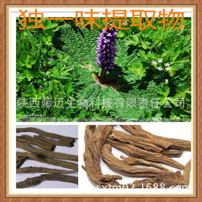 植物提取物-天然獨一味提取物 消腫止痛 廠家供應(yīng)優(yōu)質(zhì)獨一味黃酮8%-植物提取物盡.