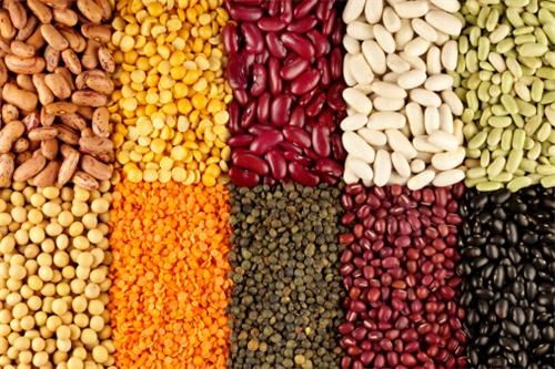 攝取植物鈣,是目前最健康有效的補鈣方式