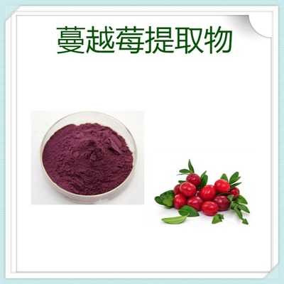 廠家現貨供應 植物提取物 桑葚提取物 鑫茂源 原花青素5%