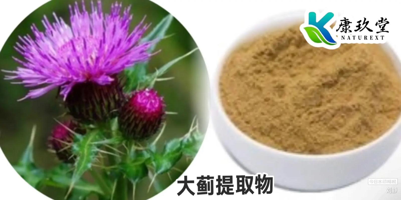 《植物提取物》