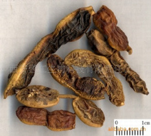 植物提取物|植物提取物公司_第38頁(yè)_