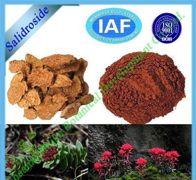 【陜西慧科廠家優質山楂提取物】價格_廠家_圖片 -