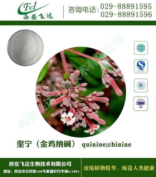 植物提取物 飛達生物 植物提取物廠家